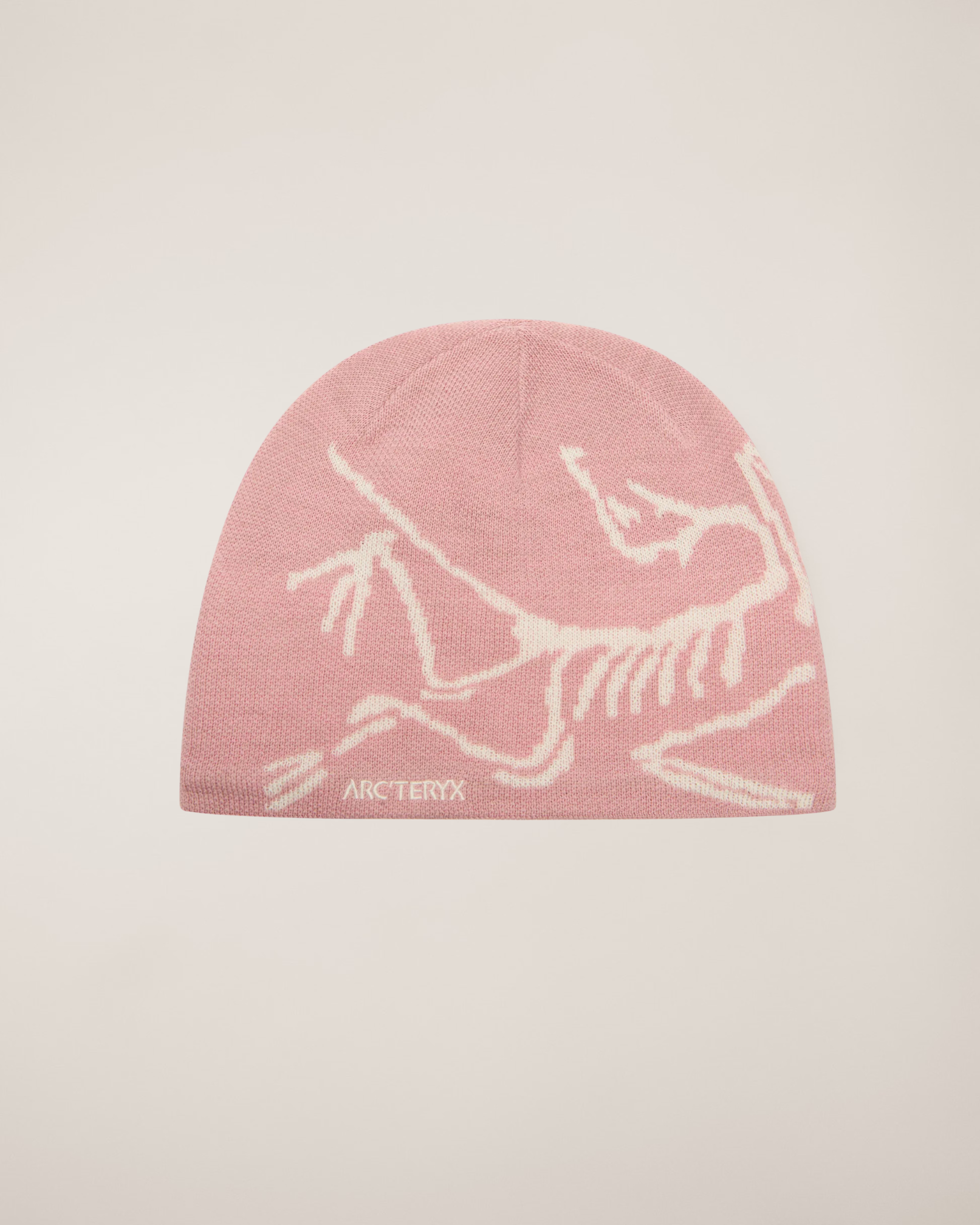 ARC Beanie