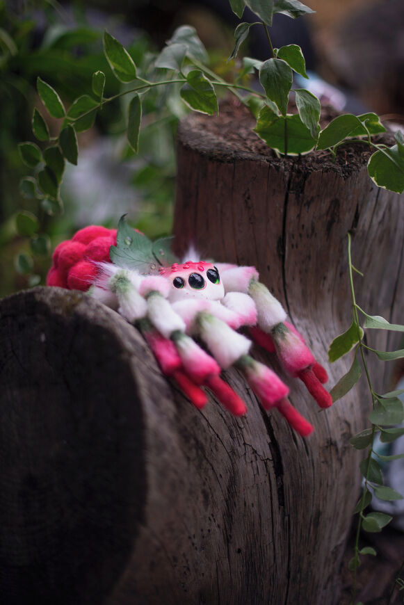 Raspberry Spider