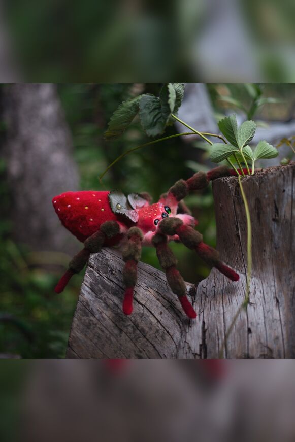 Strawberry Spider