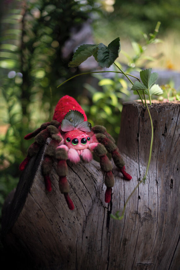 Strawberry Spider