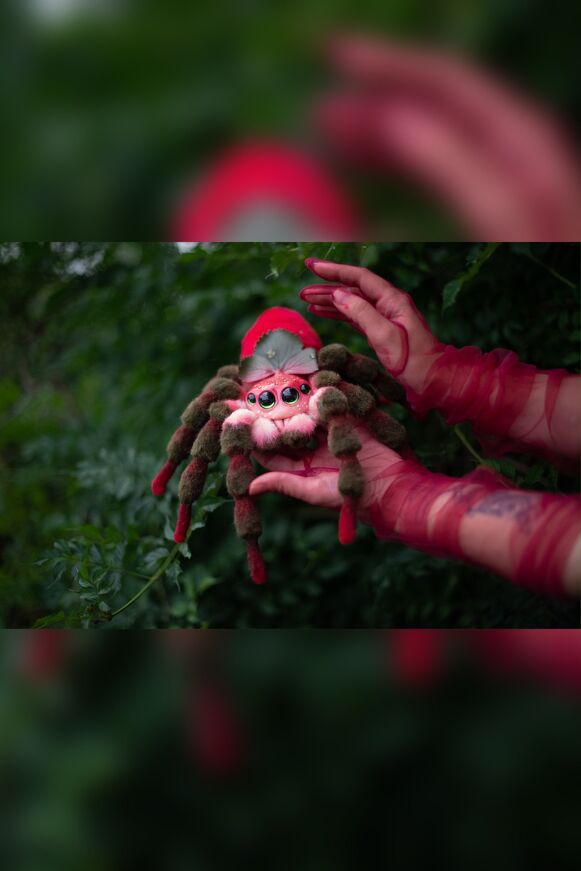 Strawberry Spider