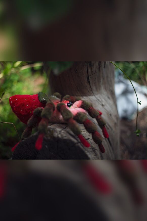 Strawberry Spider
