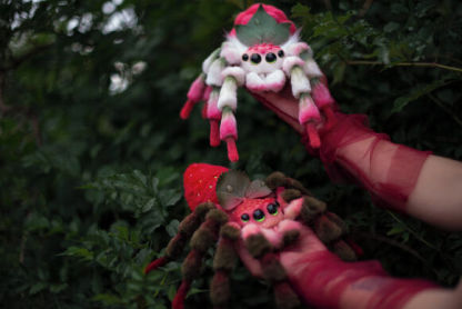 Raspberry Spider