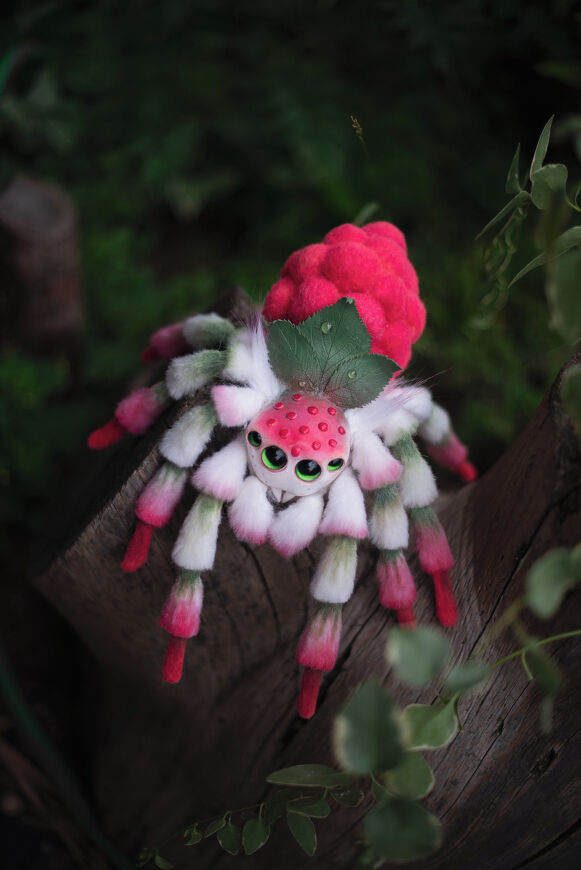 Raspberry Spider