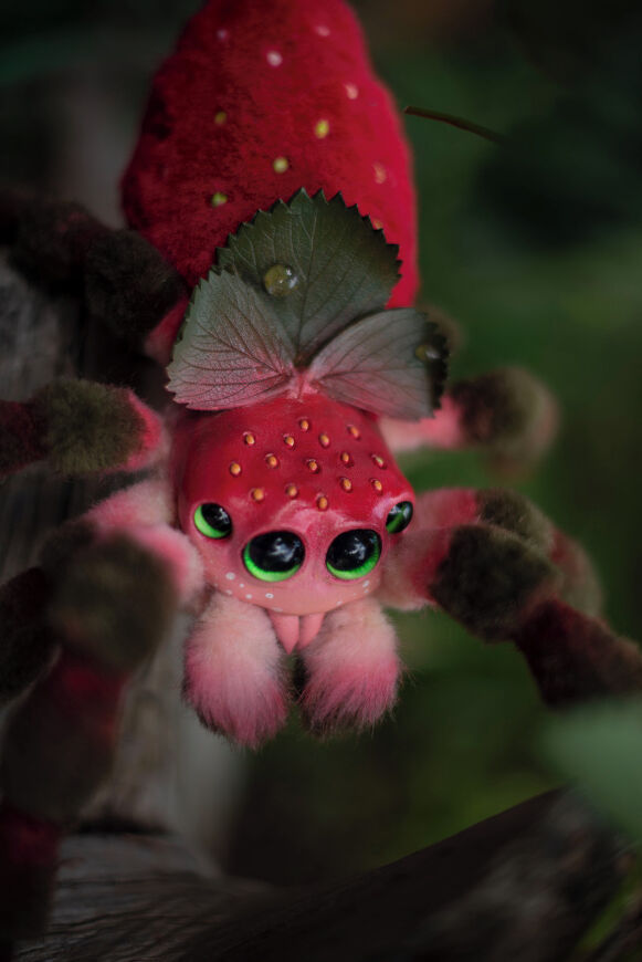 Strawberry Spider
