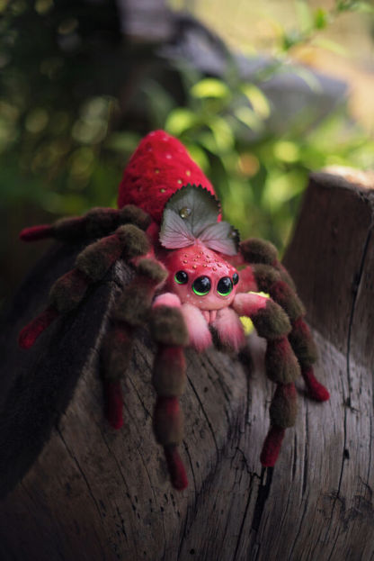 Strawberry Spider