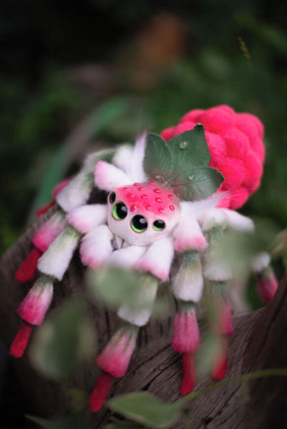 Raspberry Spider