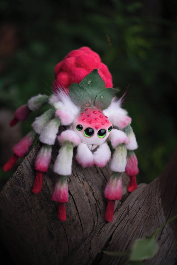 Raspberry Spider
