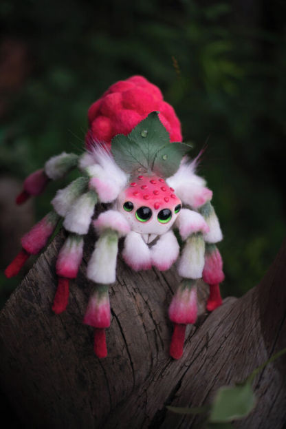 Raspberry Spider