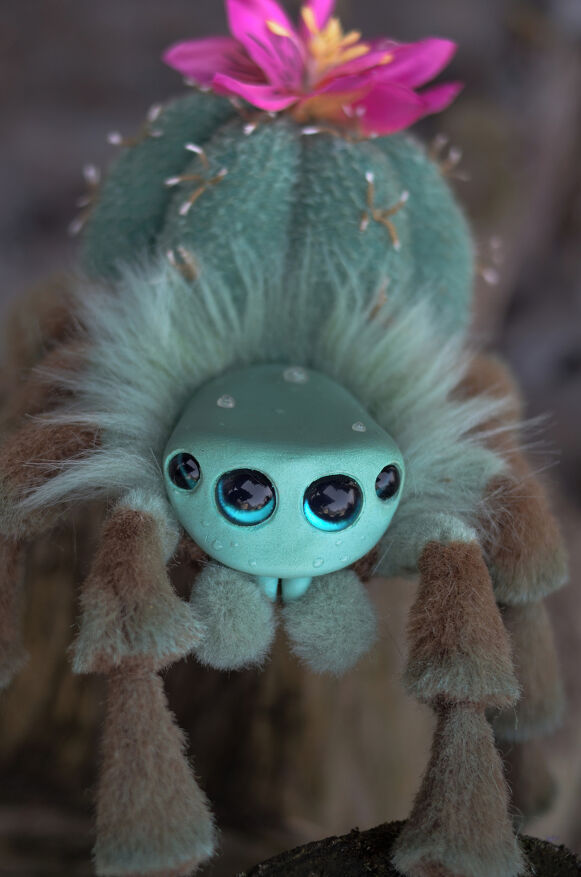 Cactus Spider