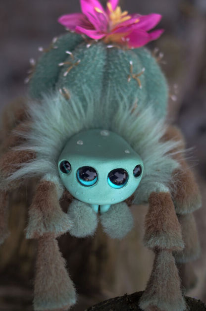 Cactus Spider