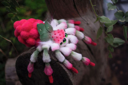 Raspberry Spider