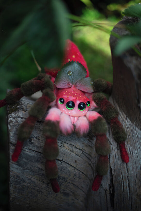 Strawberry Spider