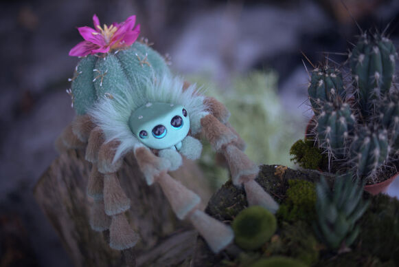 Cactus Spider