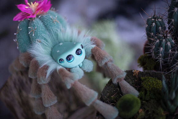 Cactus Spider