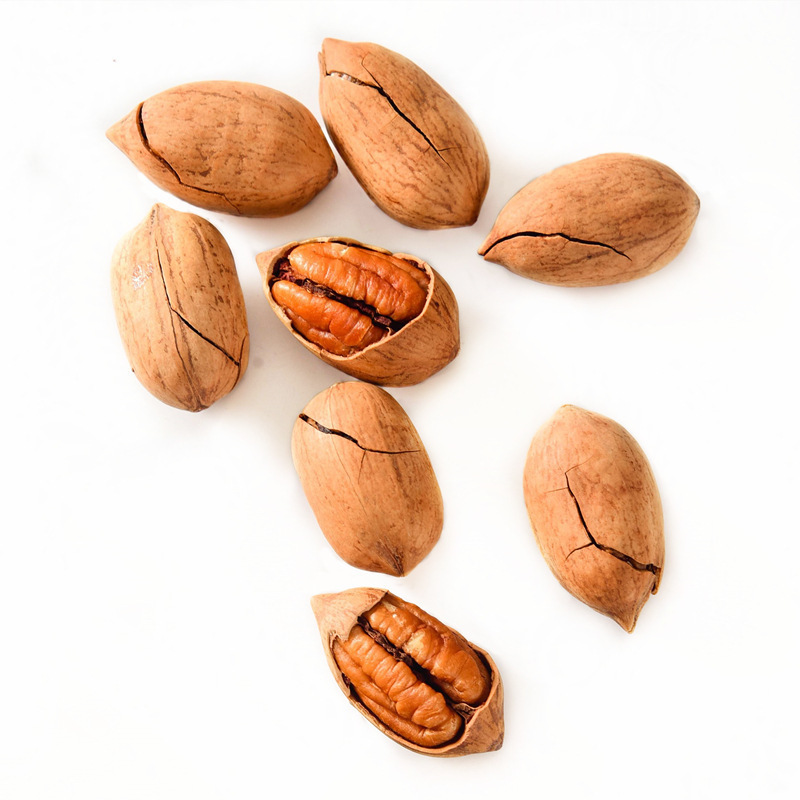 Imported pecan seeds