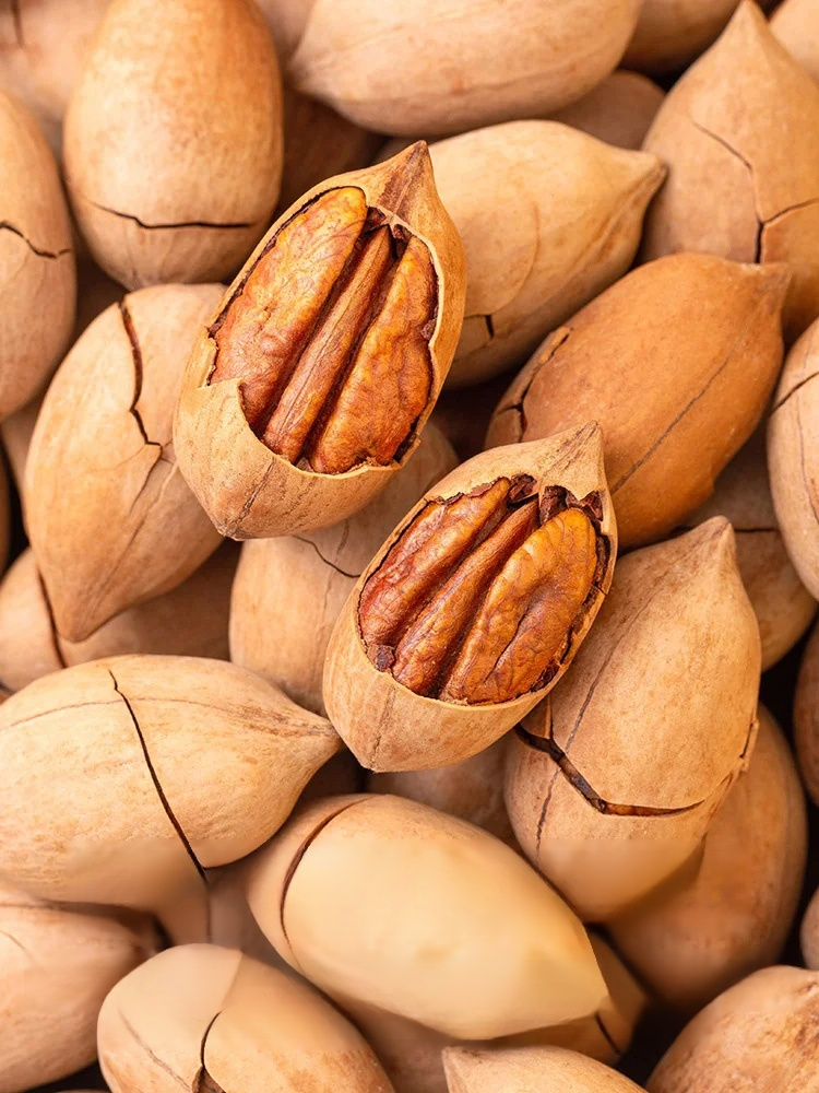 Imported pecan seeds