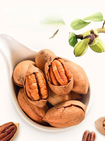 Imported pecan seeds