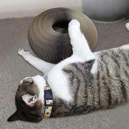 Magic Organ Cat Scratching Board--Comes with a toy bell ball-SLOOSELYK