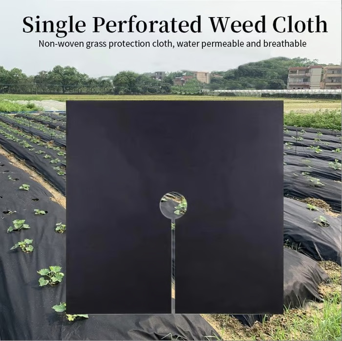 Eco-Friendly & Biodegradable Anti-Grass Cloth for Gardens and Landscap