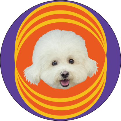 Custom Pet Rugs — Soft & Cozy Faux Cashmere