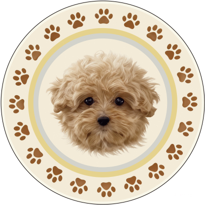 Custom Pet Rugs — Soft & Cozy Faux Cashmere