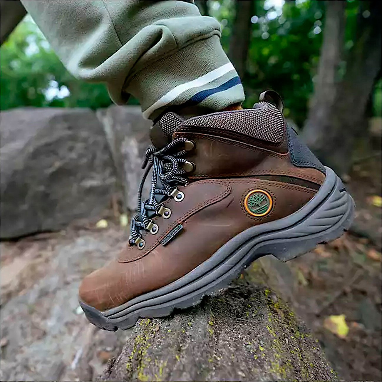 Men's White Ledge Waterproof Mid Hiker Boot