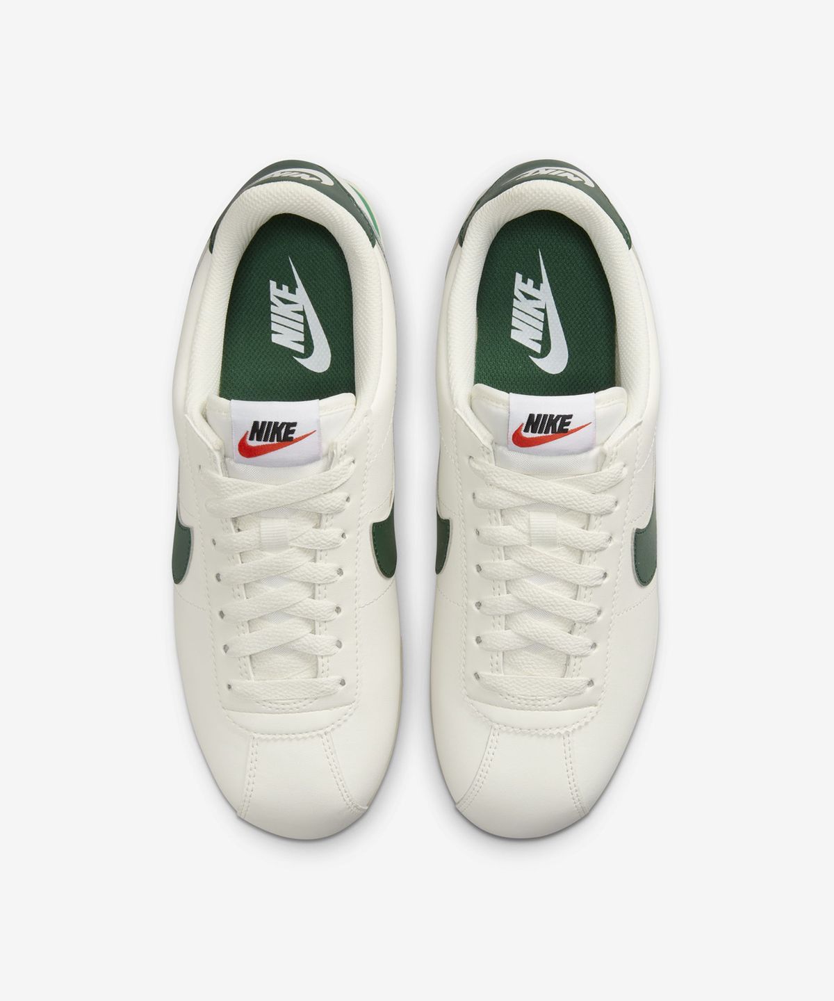 코르테즈 W - 세일:말라카이트:코코넛 밀크:저지 그린