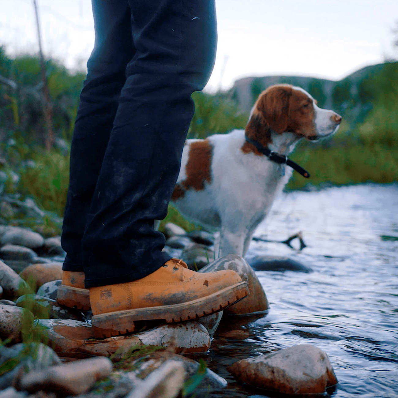 Men's Direct Attach 6" Steel Toe Waterproof Work Boot