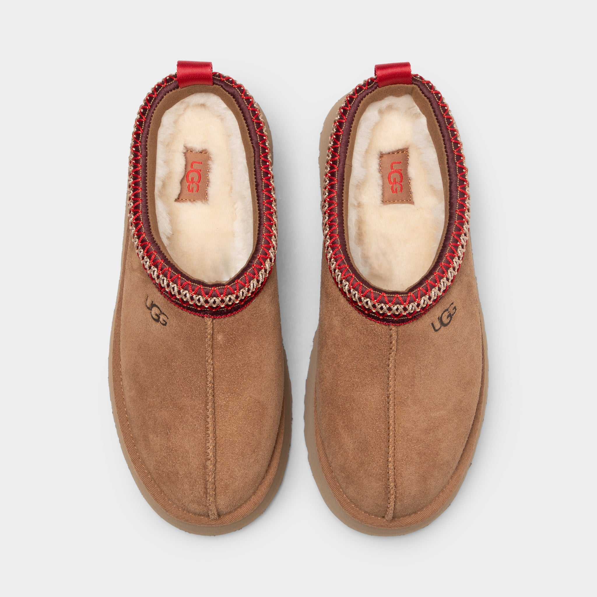25FW TAZZ SLIPPER II - CHESTNUT (1174471) (타즈 슬리퍼 II)