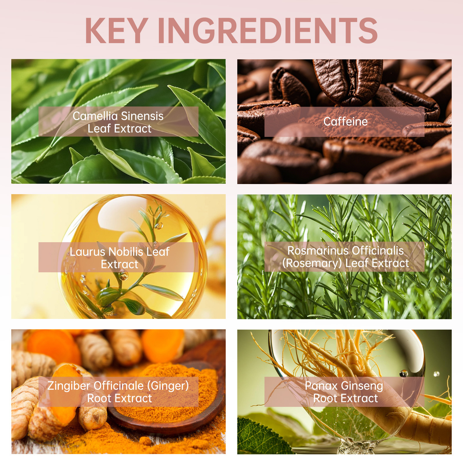 H-Regrow 2.0 - Hair Regrowth