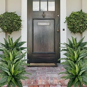 🔥The Most Realistic Artificial Boston Fern🪴