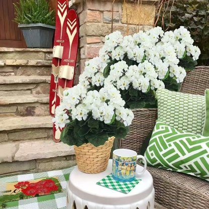  🎁Last Day 60% OFF🌸 Lush, UV-resistant artificial geraniums – Realistic looking, maintenance-free! 🌞🏡💐