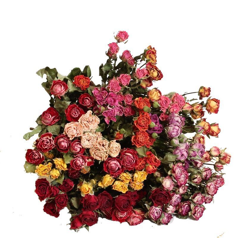 Direct shipment from the base: multi-head rose dried flower bouquet, daisy, teddy, sunflower, rose dried flowers, real flowers wholesale-Lovesyouforever