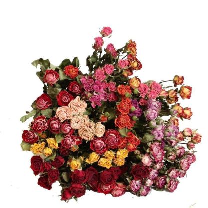 Direct shipment from the base: multi-head rose dried flower bouquet, daisy, teddy, sunflower, rose dried flowers, real flowers wholesale-Lovesyouforever