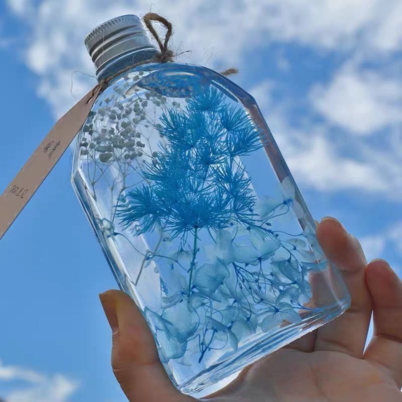Dried flowers, floating flowers, preserved flowers, plant specimens, decorative floating bottles, graduation gifts, gifts for girlfriends, girlfriends, birthdays, and holidays-Lovesyouforever