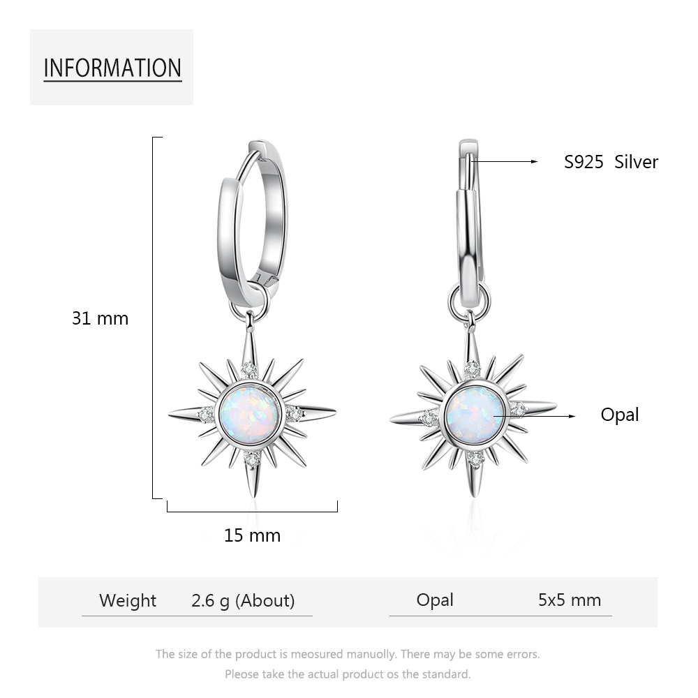 925 Sliver Pendant Earrings for Women-Lovesyouforever