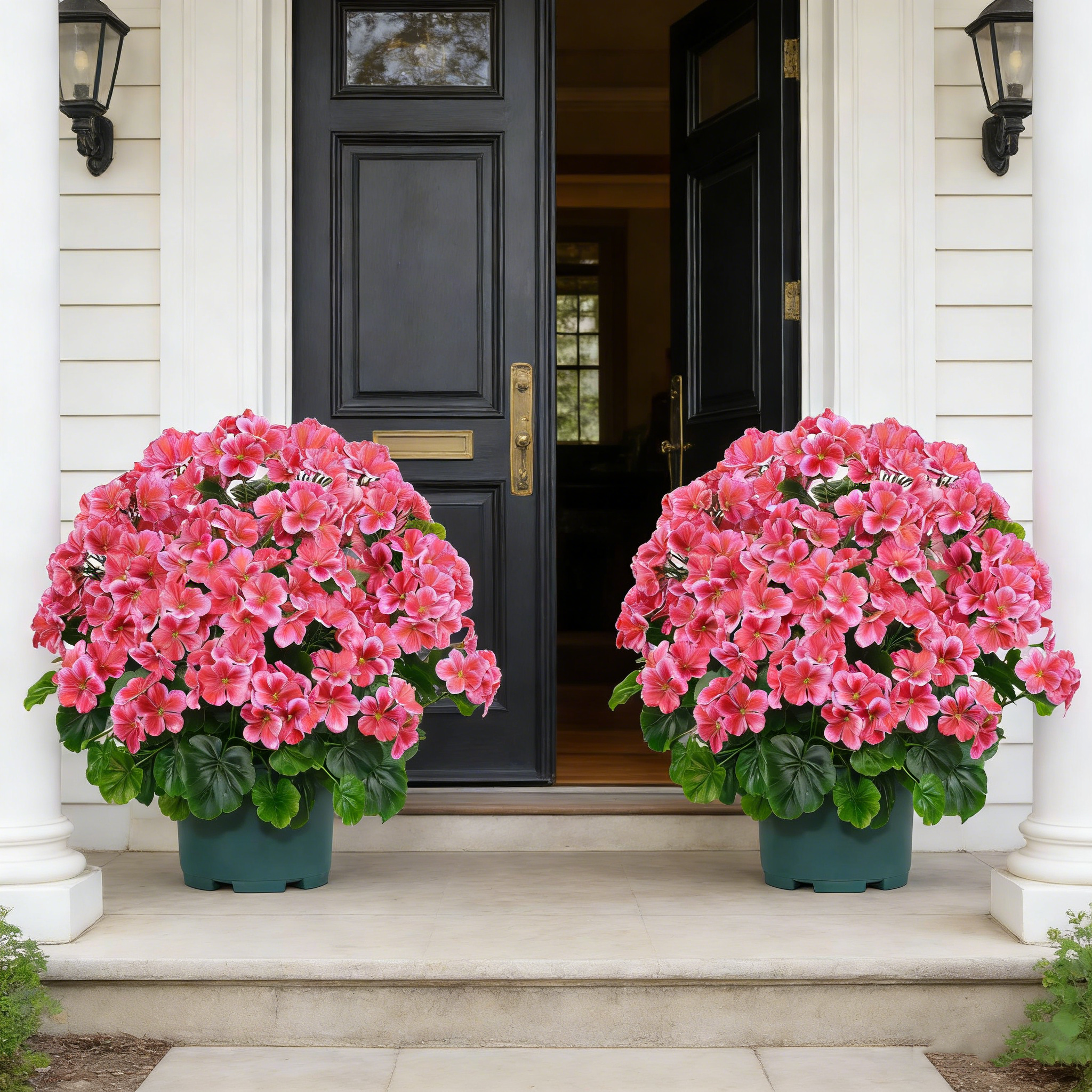 🌸 Lush, UV-Resistant Artificial Geraniums – Real Look, No Maintenance! 🌞🏡💐