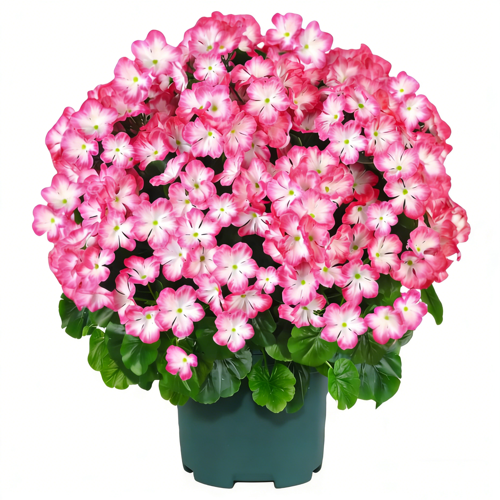 🌸 Lush, UV-Resistant Artificial Geraniums – Real Look, No Maintenance! 🌞🏡💐