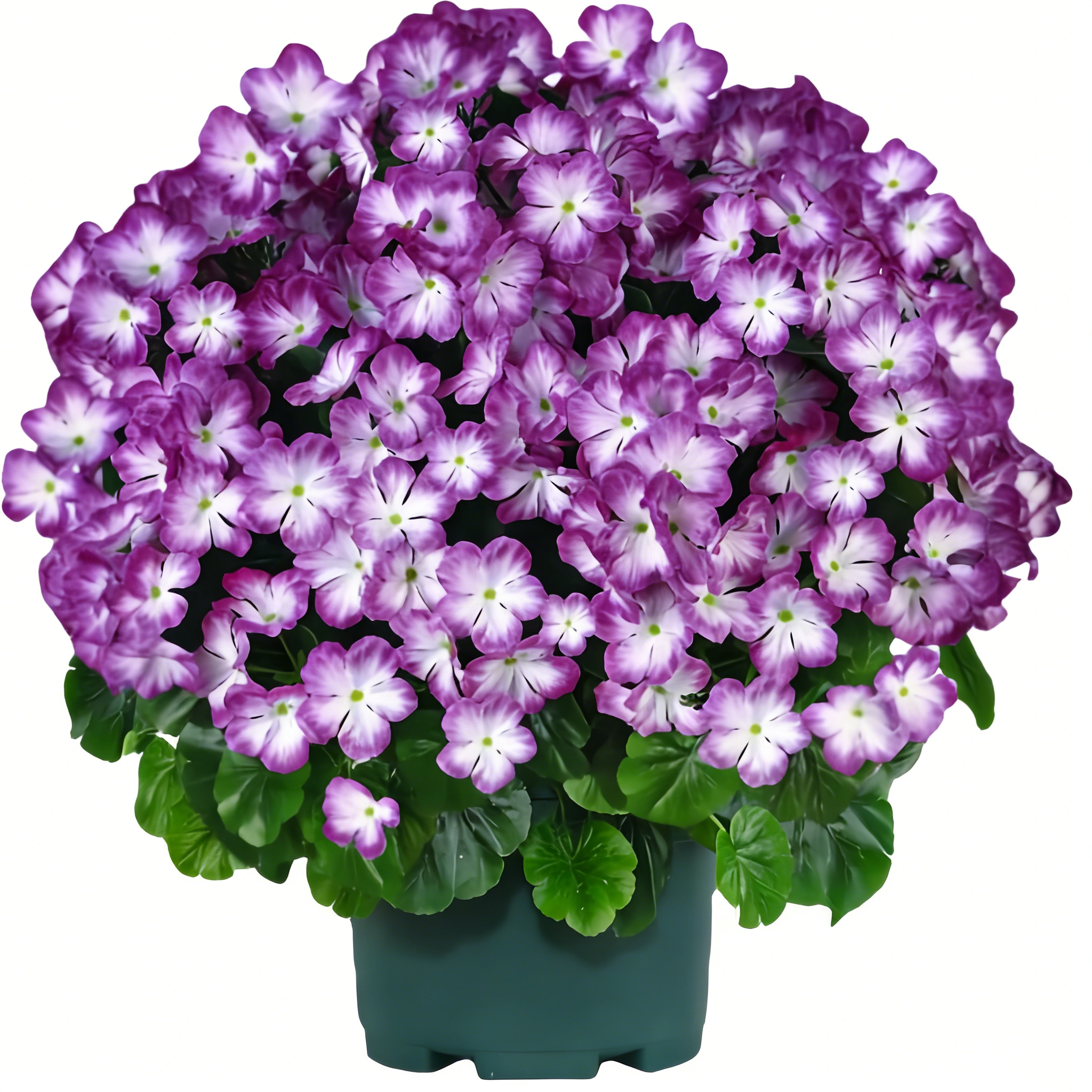 🌸 Lush, UV-Resistant Artificial Geraniums – Real Look, No Maintenance! 🌞🏡💐