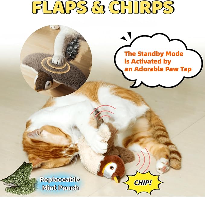 Indoor Interactive Cat And Bird Toy With Catnip Inside USB Charging