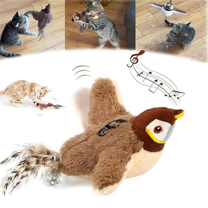 Indoor Interactive Cat And Bird Toy With Catnip Inside USB Charging