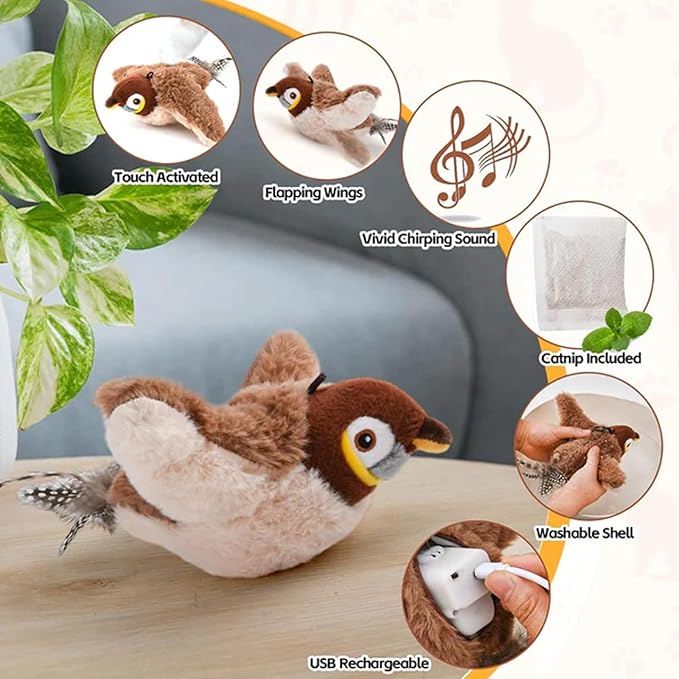 Indoor Interactive Cat And Bird Toy With Catnip Inside USB Charging