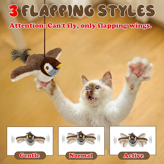 Indoor Interactive Cat And Bird Toy With Catnip Inside USB Charging