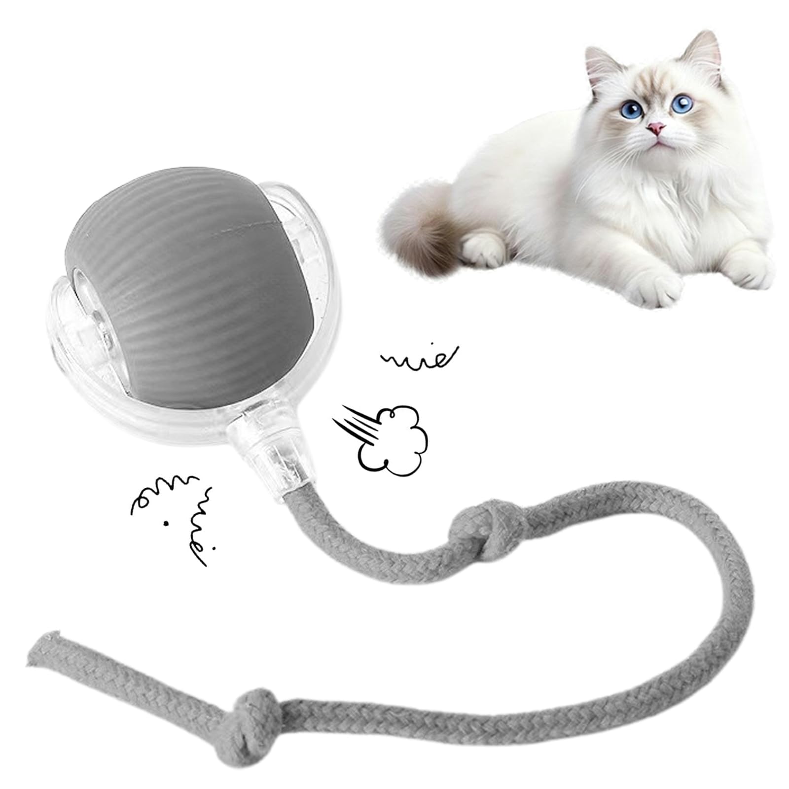 🔥HOT SALE 50%OFF🔥Interactive Cat Toys Ball for Indoor Cats✨