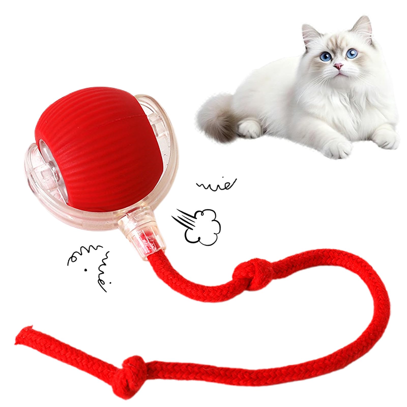 🔥HOT SALE 50%OFF🔥Interactive Cat Toys Ball for Indoor Cats✨