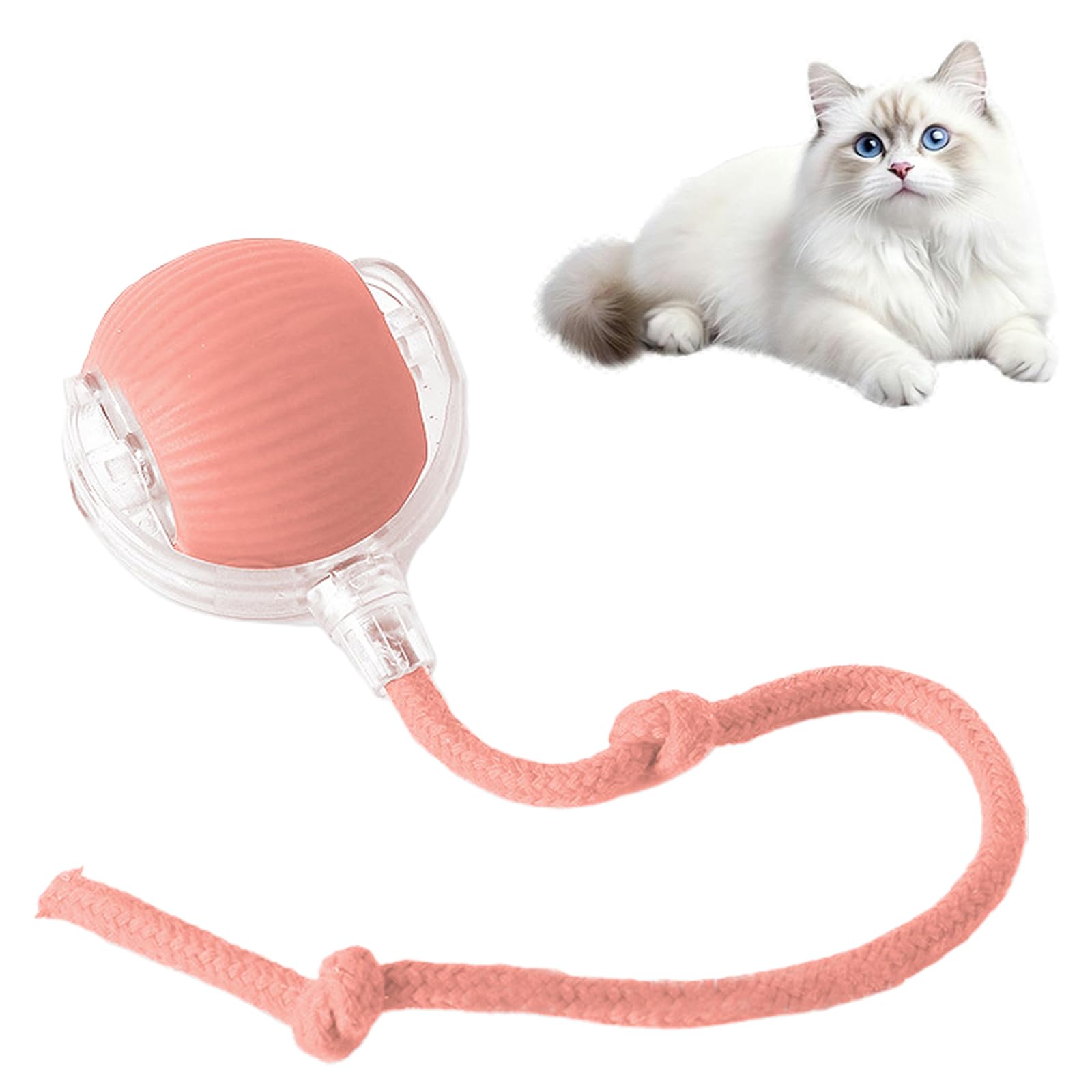 🔥HOT SALE 50%OFF🔥Interactive Cat Toys Ball for Indoor Cats✨