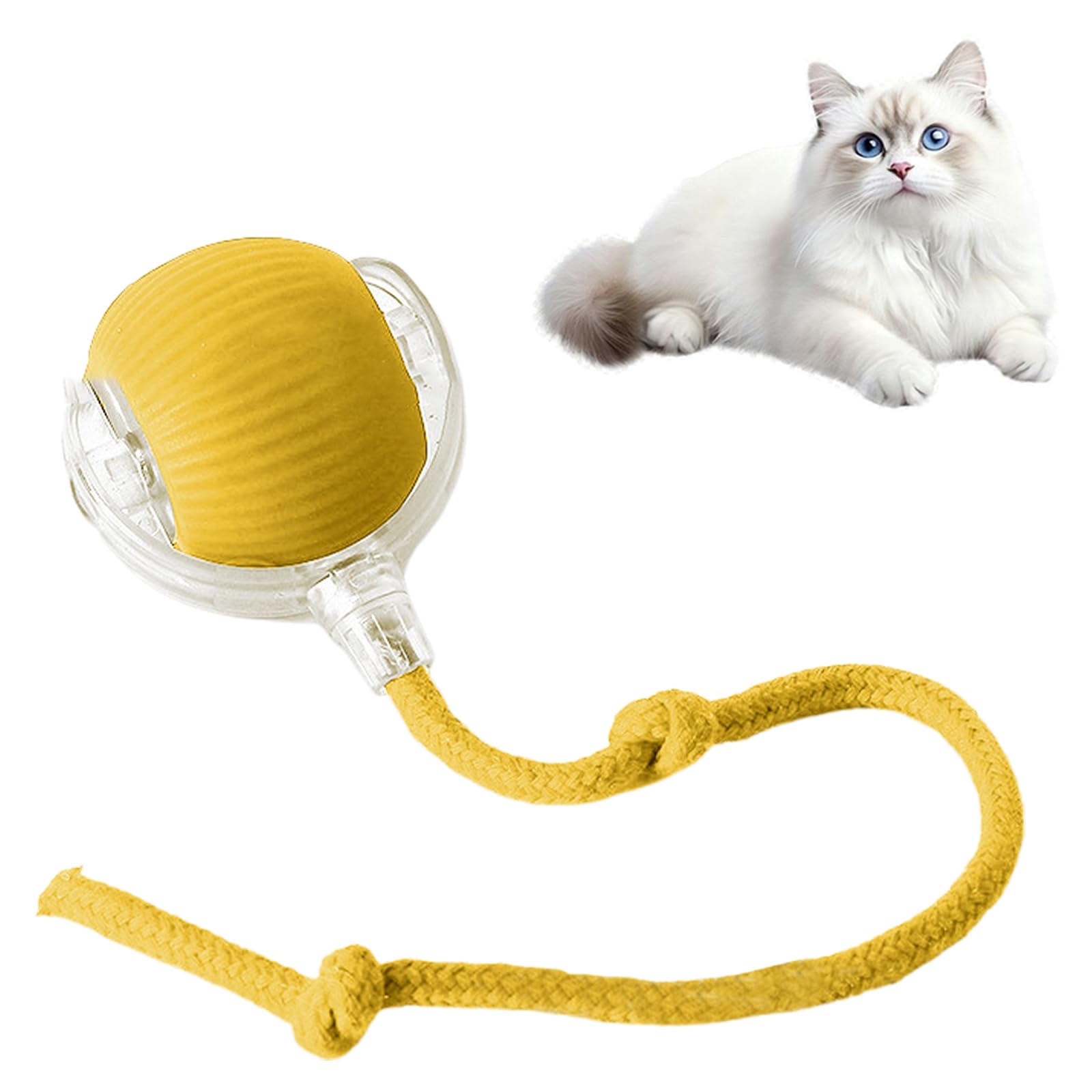 🔥HOT SALE 50%OFF🔥Interactive Cat Toys Ball for Indoor Cats✨