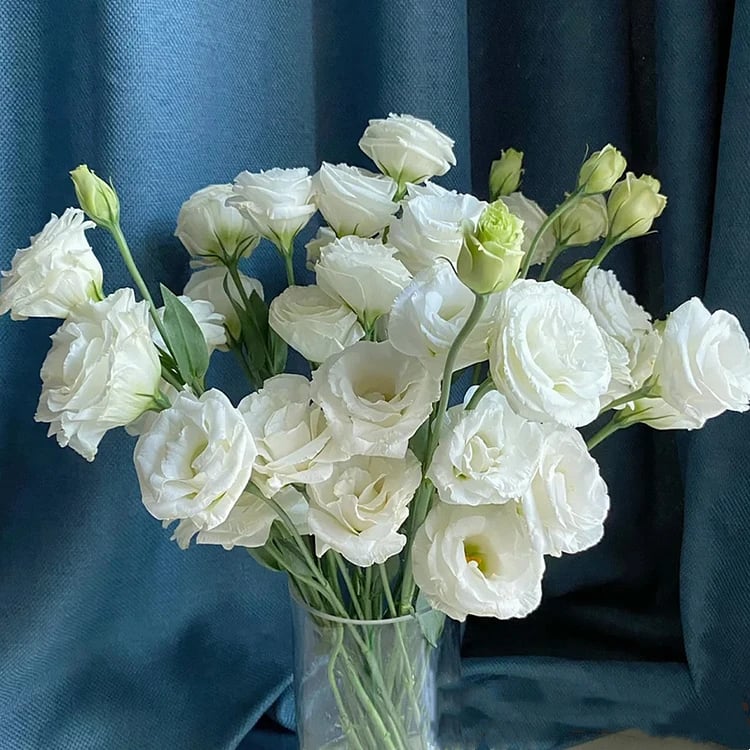 🔥 Posledný deň výpredaja 💝 Beztrnová ružová eustoma 💐 Semienka z lisianthusu