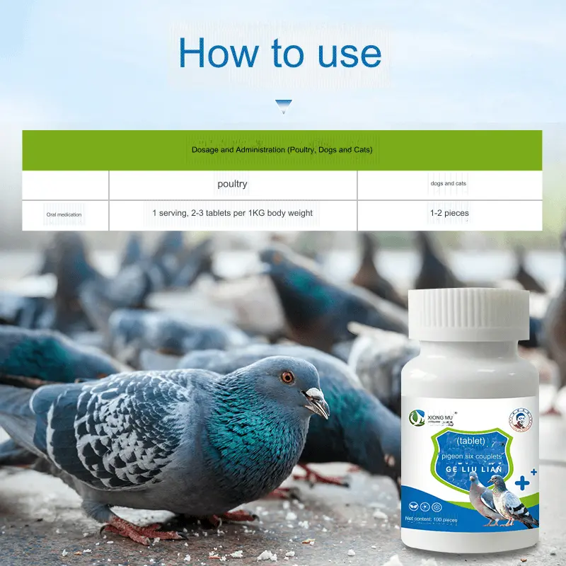 🕊️Speciális tabletták galamboknak ✅ Sült haj ✅ Hányás ✅ Energiahiány ✅ Remegés a fejben és a nyakban